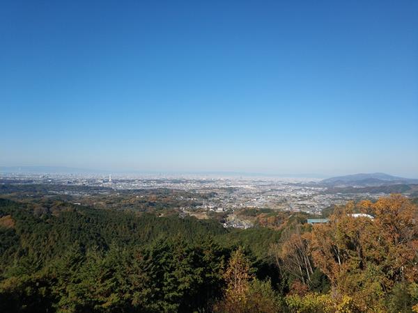 上赤阪城跡の本丸