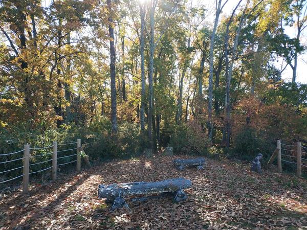 上赤阪城跡の本丸