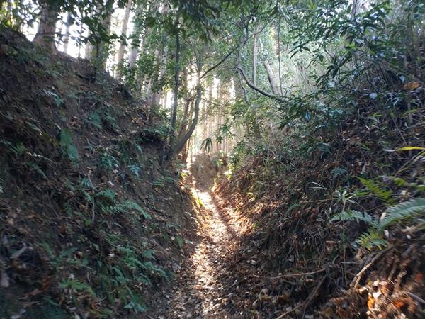 上赤阪城跡の切通し