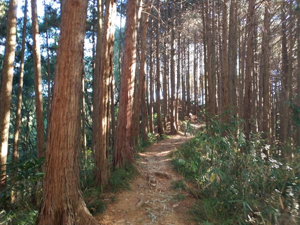 上赤阪城跡の道