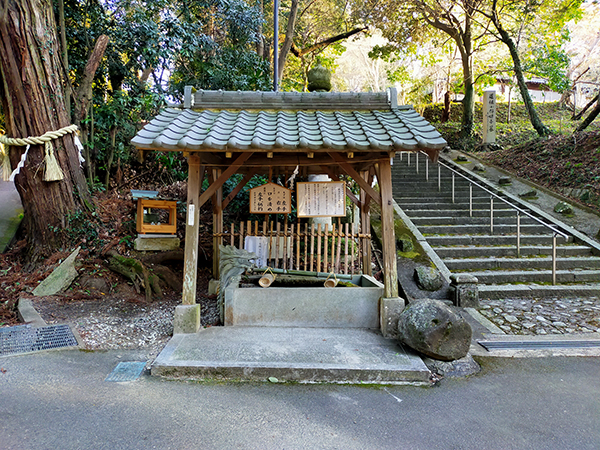 科長神社の手水舎