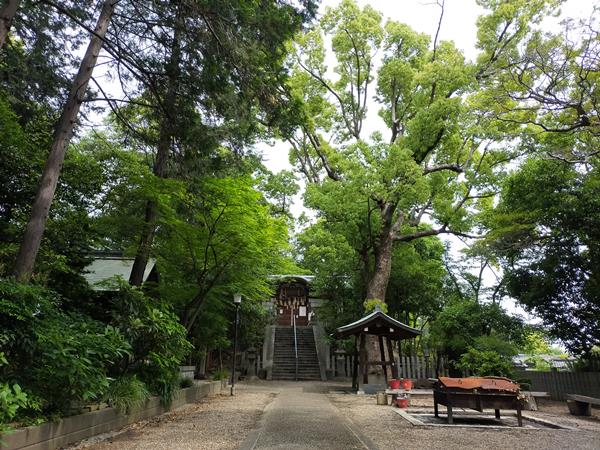 野々上八幡神社の境内