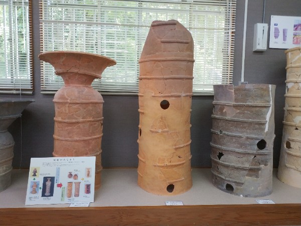 羽曳野市文化財展示室の円筒埴輪