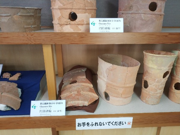 羽曳野市文化財展示室の円筒埴輪