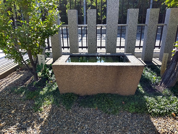 大堀八幡神社の手水舎