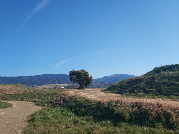 寛弘寺古墳群の全景