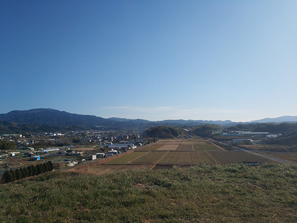 寛弘寺5号墳からの眺望