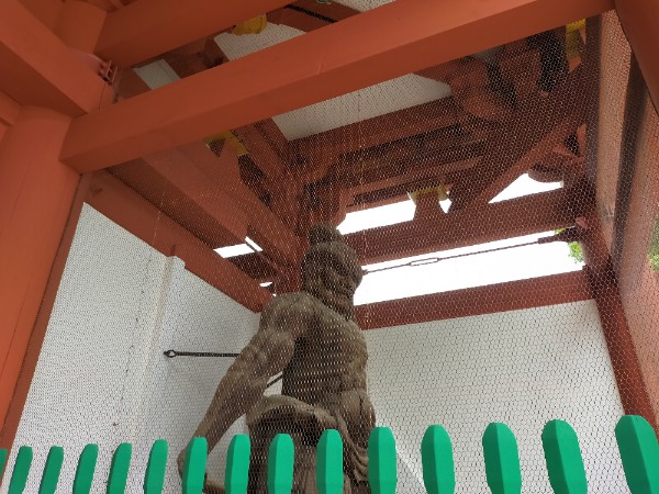 改修後の葛井寺の仁王様