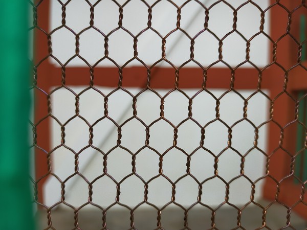 改修後の葛井寺の南大門