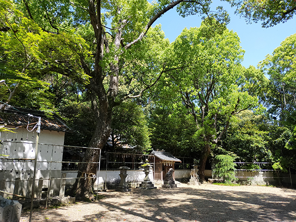 佐備神社の全景