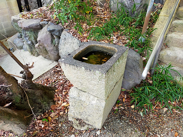 池之原神社の手水舎