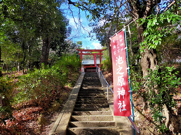 池之原神社の階段