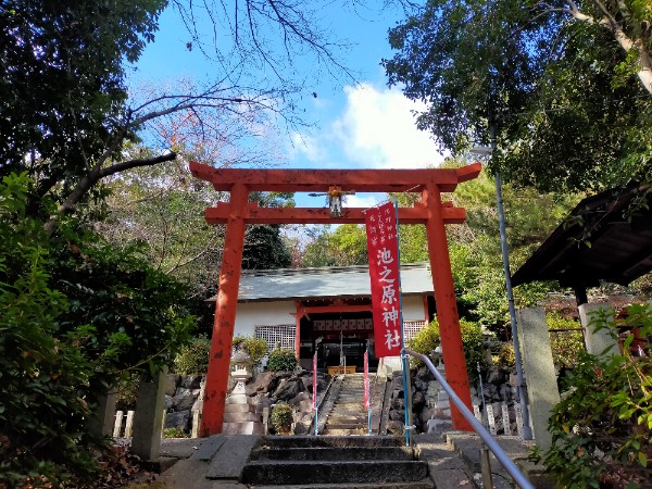 池之原神社の鳥居