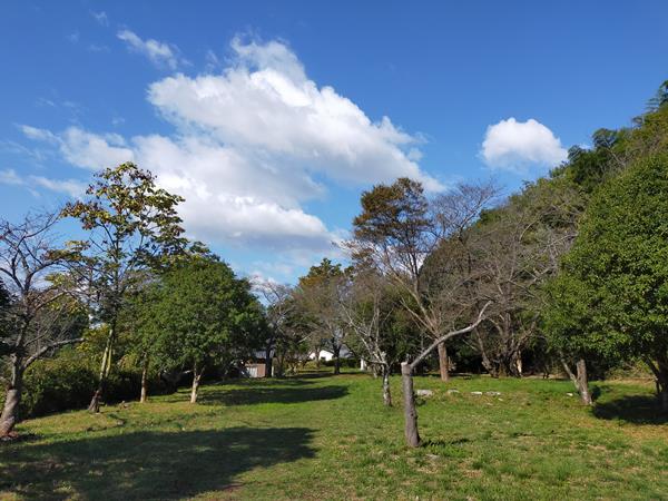 通法寺跡の全景