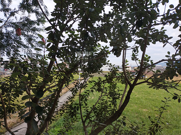ONIJUS COFFEE VILLAGE(オニジャズ)の周辺