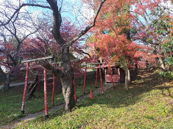野中神社の稲荷社