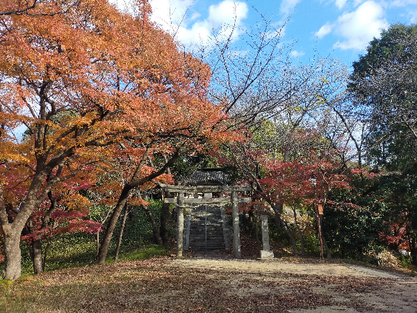 野中神社の鳥居
