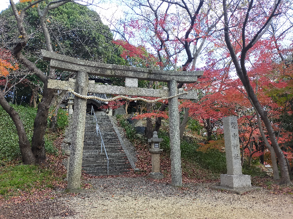 野中神社の鳥居