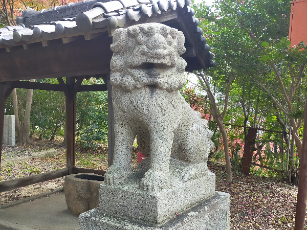 野中神社の狛犬