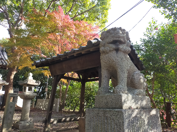 野中神社の狛犬