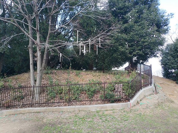 津堂城山古墳の墳頂