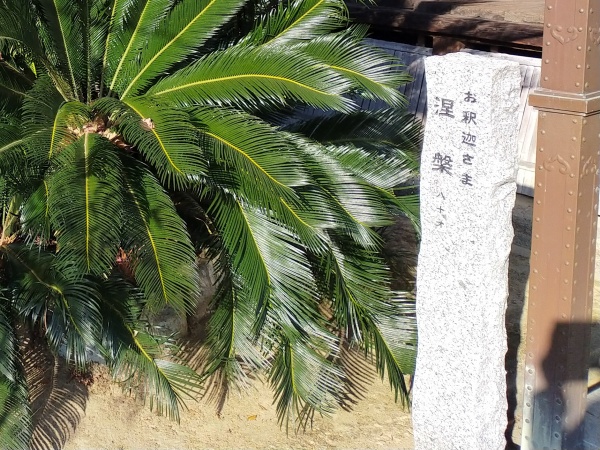 龍雲寺のお釈迦様-涅槃