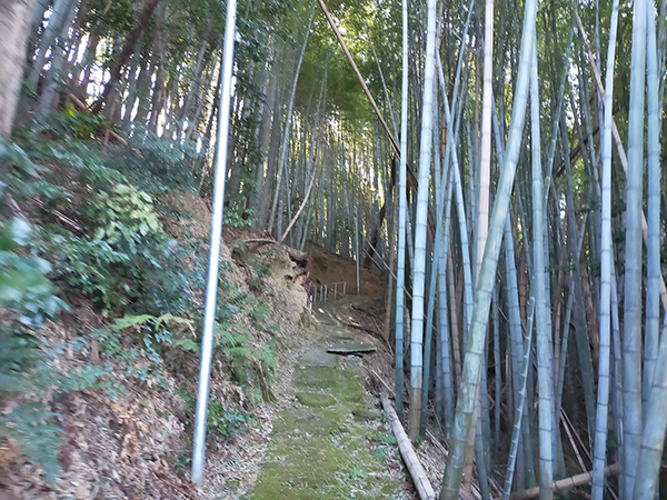 金峰神社の参道