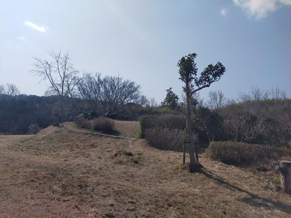 石塚古墳