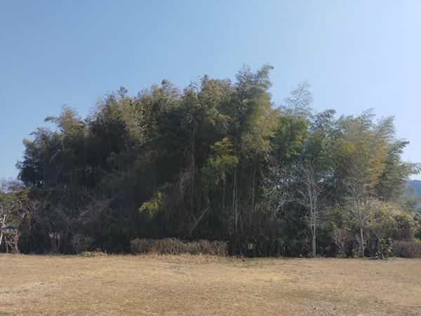 葉室塚古墳