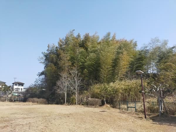 葉室塚古墳