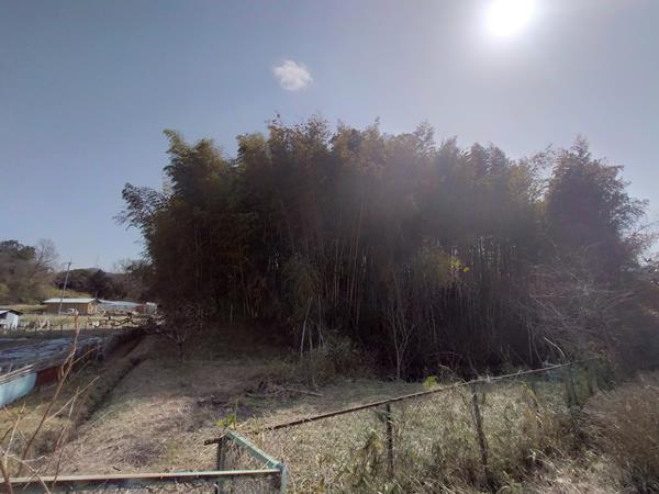 葉室塚古墳