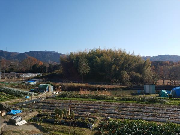 葉室塚古墳