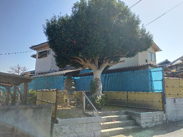 伝:蘇我馬子の墓全景