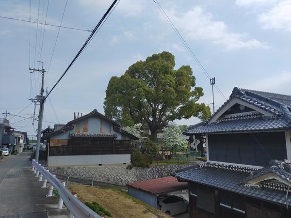 中村神社跡全景