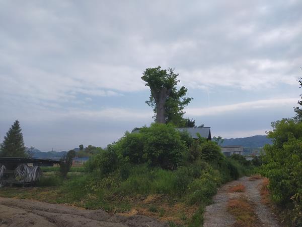 大森塚古墳