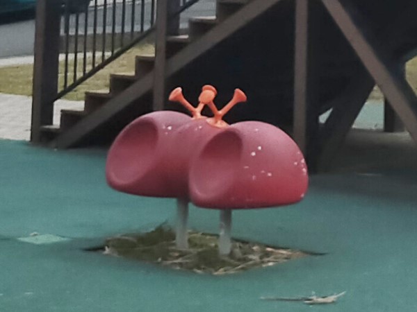 サンタモニカ公園