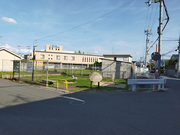 コアラ公園