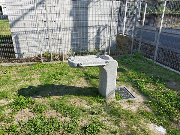 コアラ公園