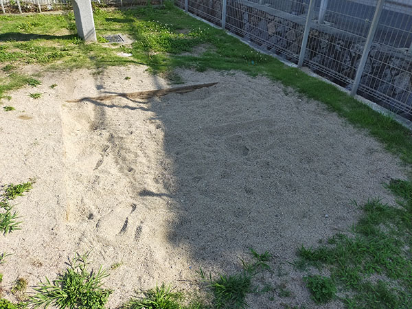 コアラ公園