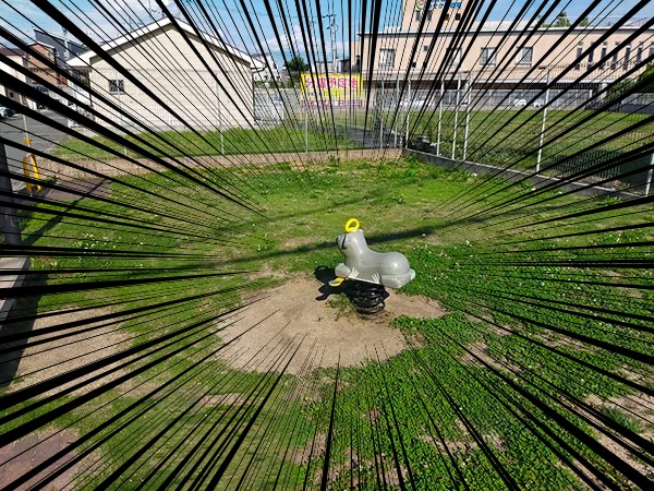 コアラ公園