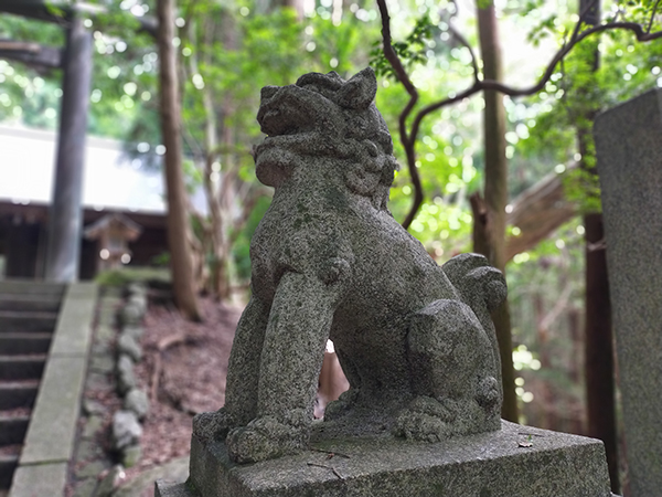 千早神社の狛犬