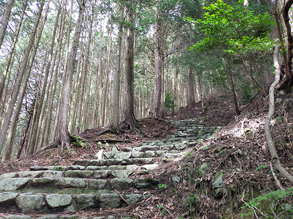 千早神社の参道