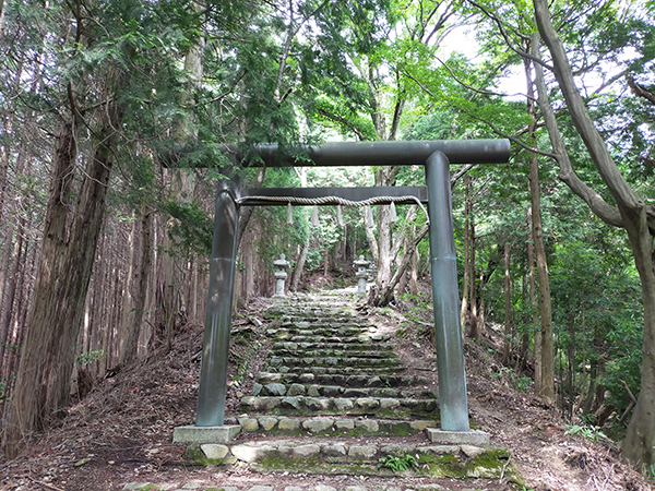 千早神社の参道