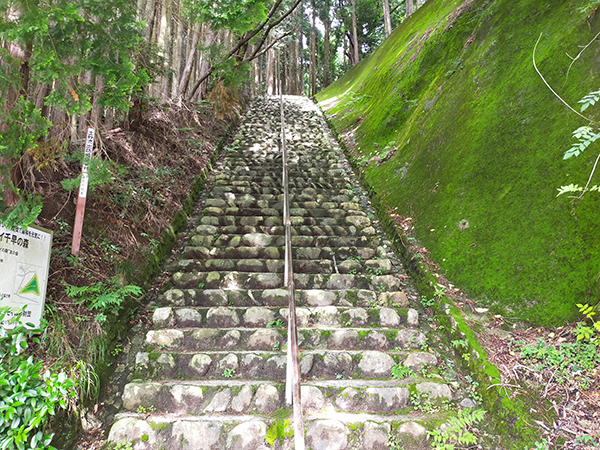 千早神社の参道