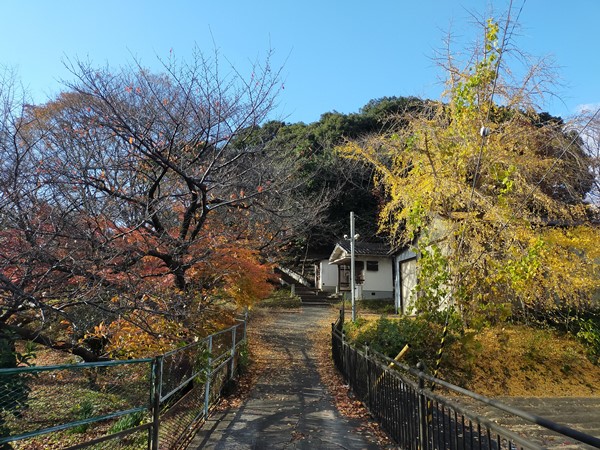 野中宮山古墳